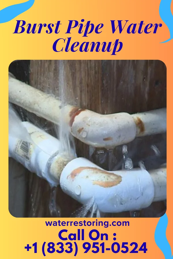Burst Pipe Water Cleanup in Dover, NH