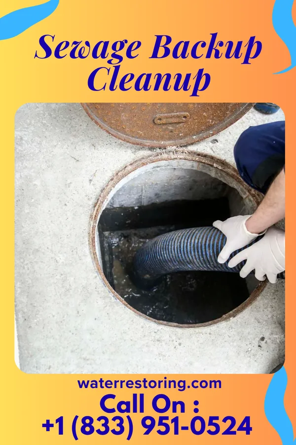 Sewage Backup Cleanup in Dover, NH