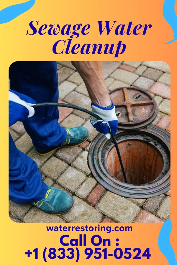 Sewage Water Cleanup in Dover, NH